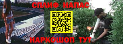 герыч Краснодар