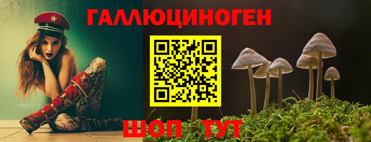 Галлюциногенные грибы Cubensis  Вход с VPN  Камышлов 